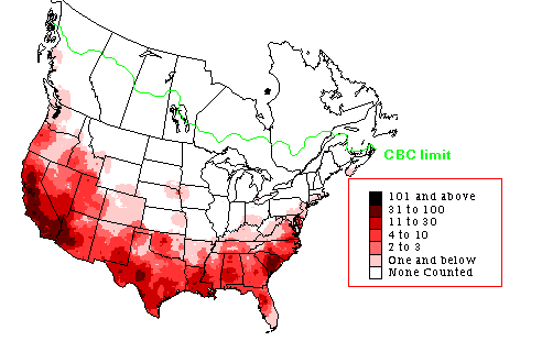 American Pipit CBC Map