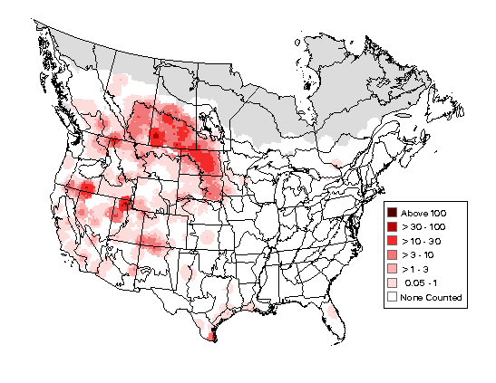 American Coot Breeding Map