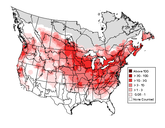American Goldfinch Breeding Map