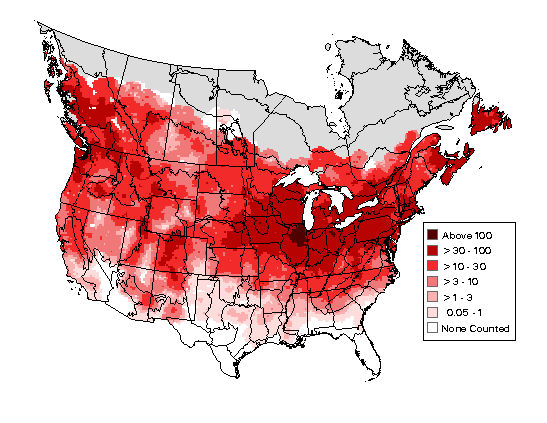 American Robin Breeding Range Map