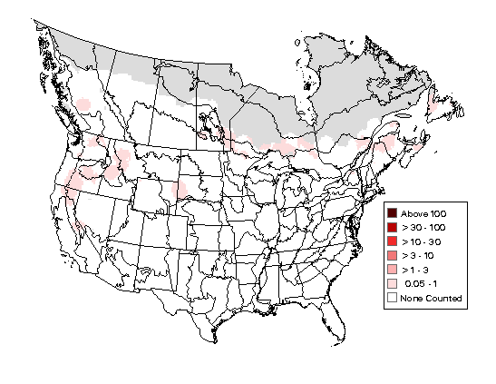 Black-backed Woodpecker Breeding Map