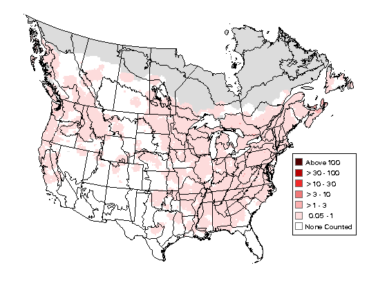 Belted Kingfisher Breeding Map