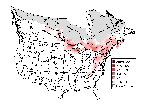 Blackburnian Warbler Breeding Map