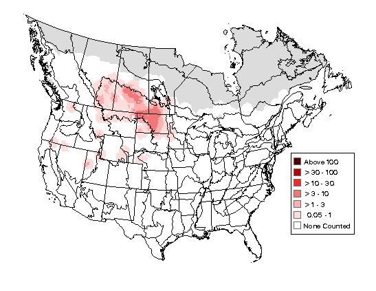 Canvasback Breeding Map