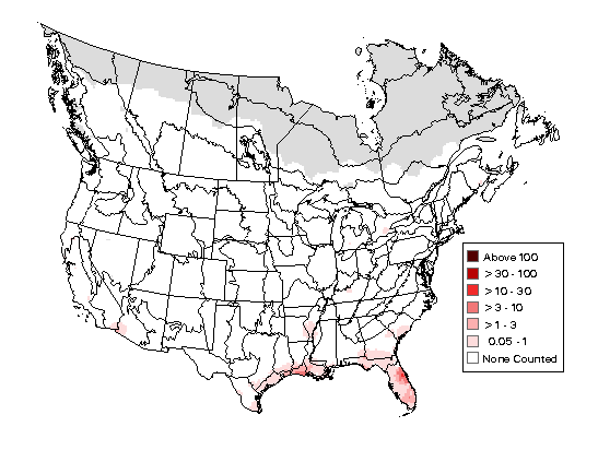 Common Gallinule Breeding Map