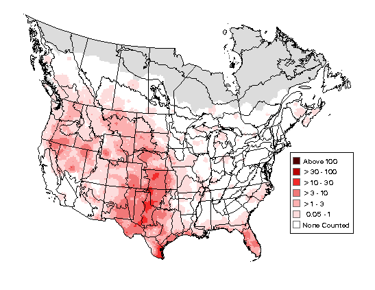 Common Nighthawk Breeding Map