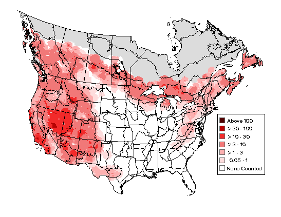 Common Raven Breeding Map