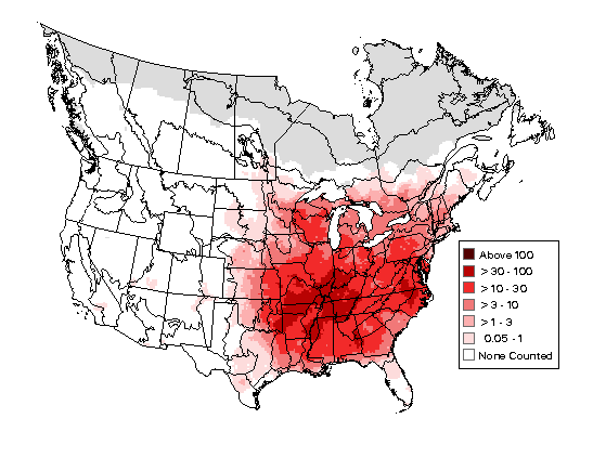 Indigo Bunting Breeding Map