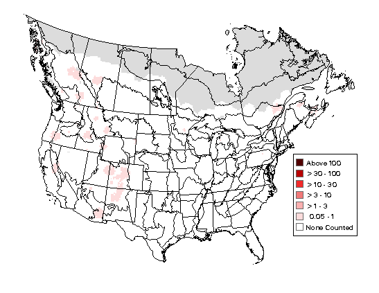 Northern Goshawk Breeding Map