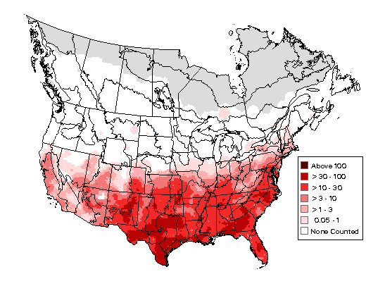 Northern Mockingbird Breeding Map