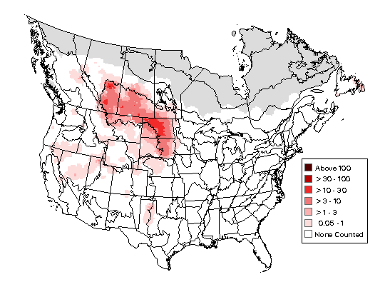 Northern Pintail Breeding Map
