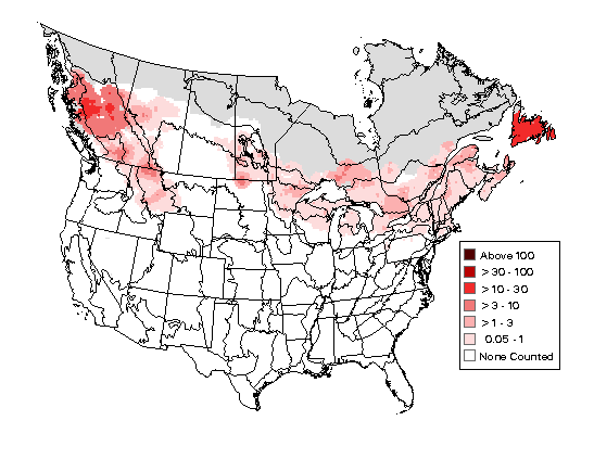 Northern Waterthrush Breeding Map