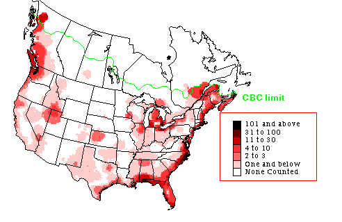 Red-breasted Merganser Winter Map