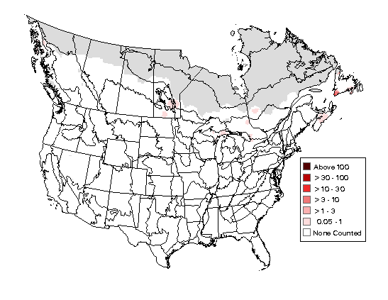 Red-breasted Merganser Breeding Map
