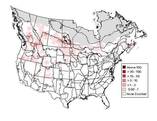 Ring-necked Duck Breeding Map