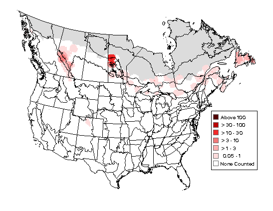 White-winged Crossbill Breeding Map