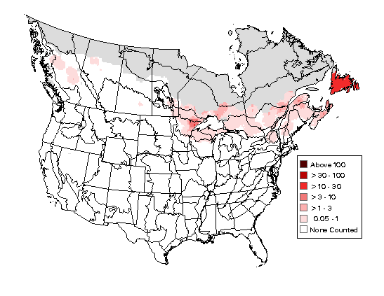 Yellow-bellied Flycatcher Breeding Map