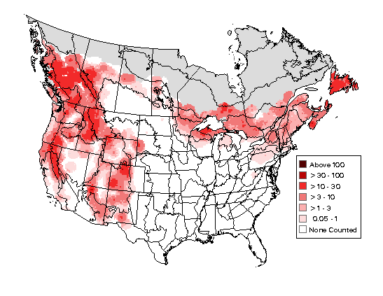 Yellow-rumped Warbler Breeding Map