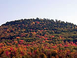 Fall Foliage on Mountainside